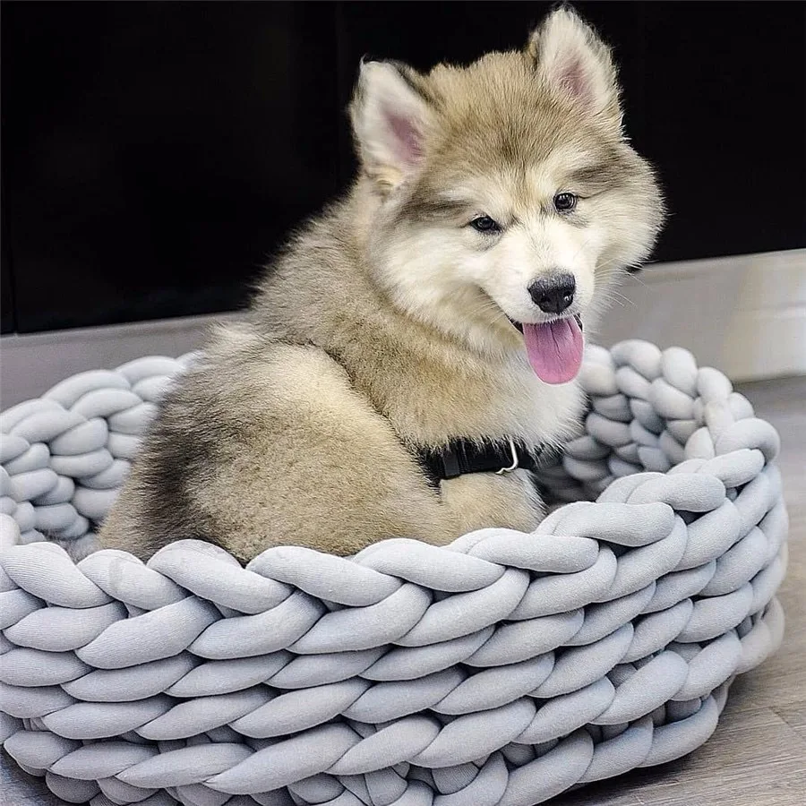 Super Cat Bed Warm Sleeping Cat Nest Soft Long Weave Strap Pet Dog Bed for Dogs Basket Cushion Cat Bed Cat Mat Animals Sleeping