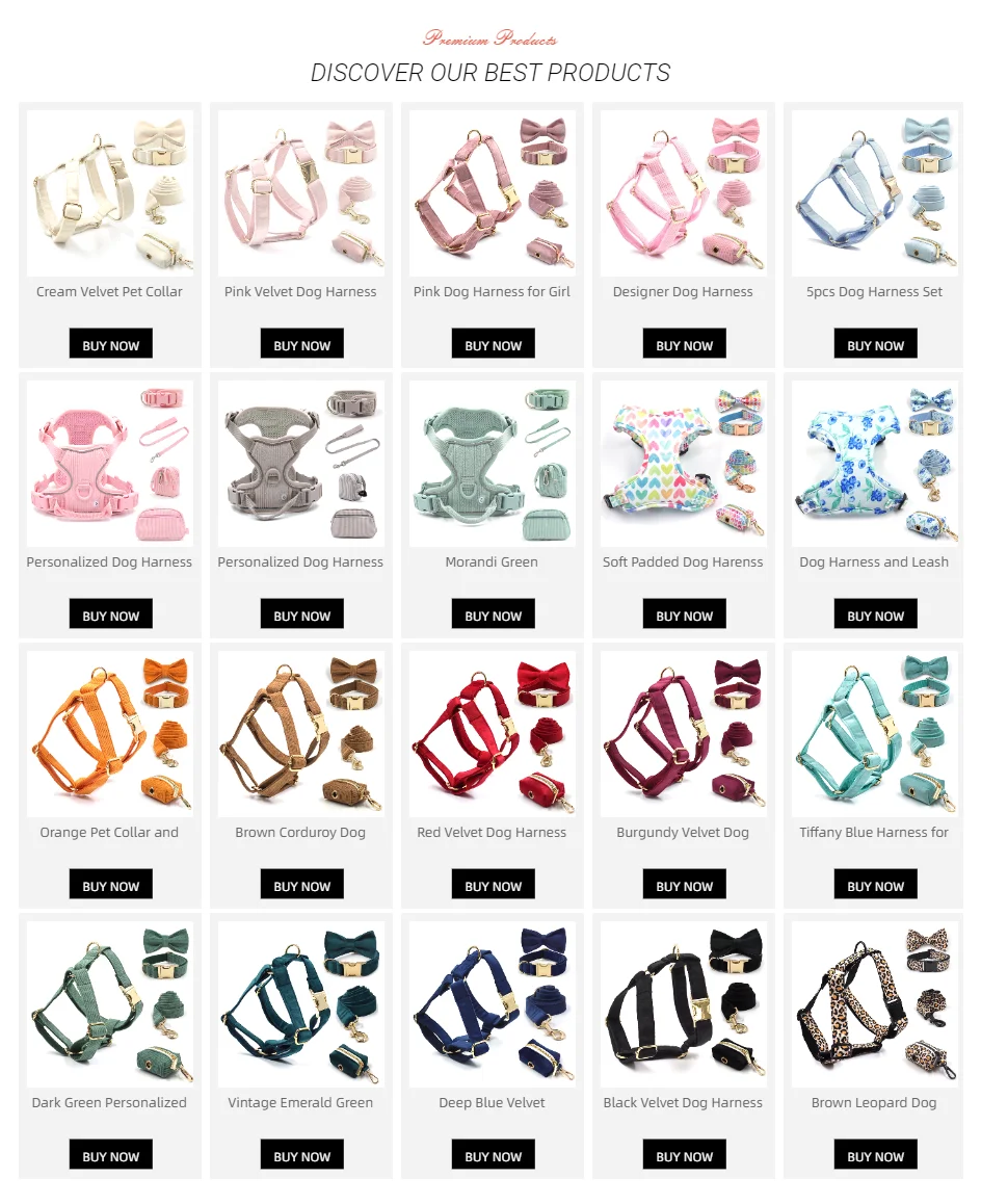 Light Coffee Velvet Harness for Dogs Personalized Mini Size Collar for Cat Tiny Dogs Soft Adjustable Bowtie Collar and Leash Set