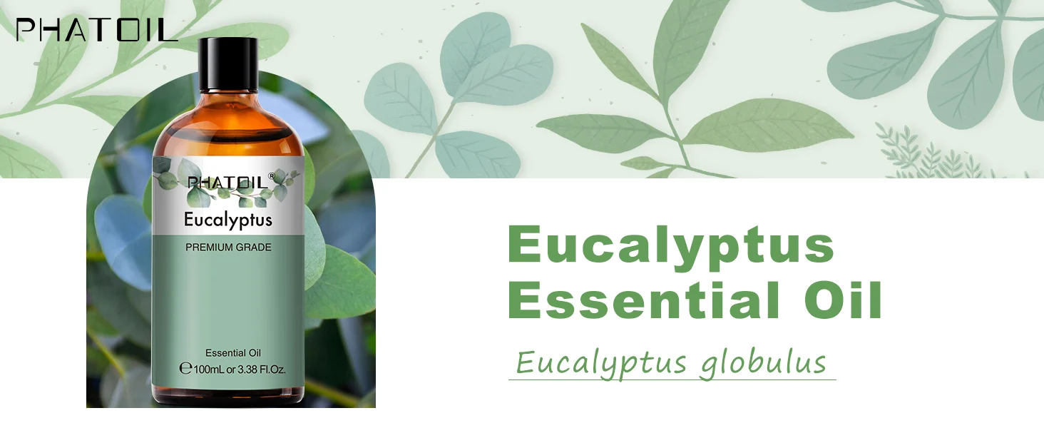 PHATOIL 100ML Eucalyptus Rose Essential Oils Lavender Indian Sandalwood Bergamot Cinnamon Lemongrass Essential Oils For Skin
