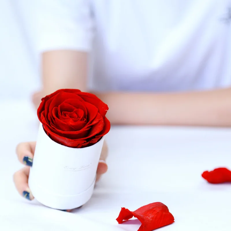 Preserved Rose Flower Round Hug Bucket Gift Box Eternal Flower Immortal Rose Wedding Valentines Day Gift For Girlfriend Mum Wife