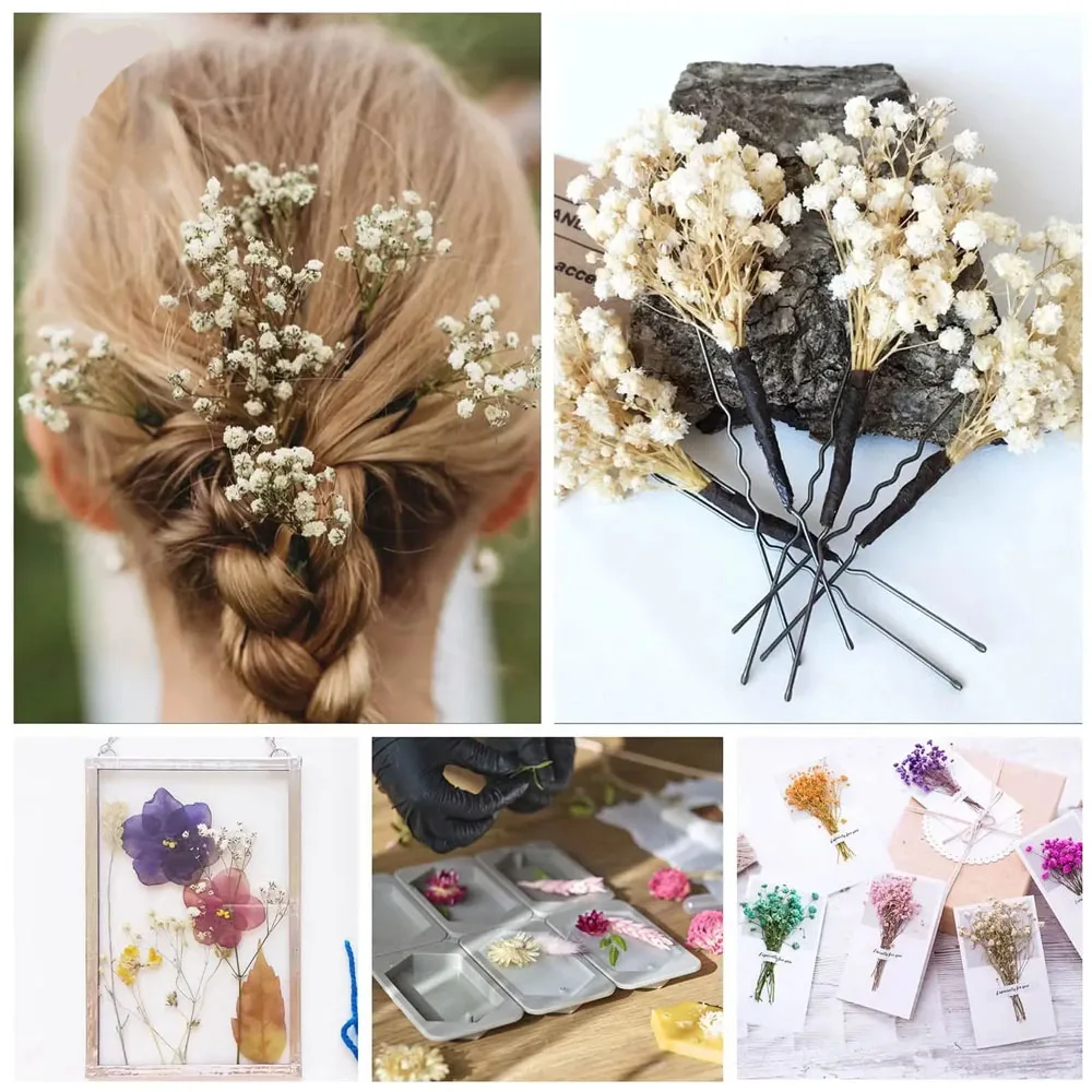 130g Natural Dried Preserved Flowers Babys Breath Home Decoration Natrual Gypsophila Wedding Decor Artificial Flower Photo Props