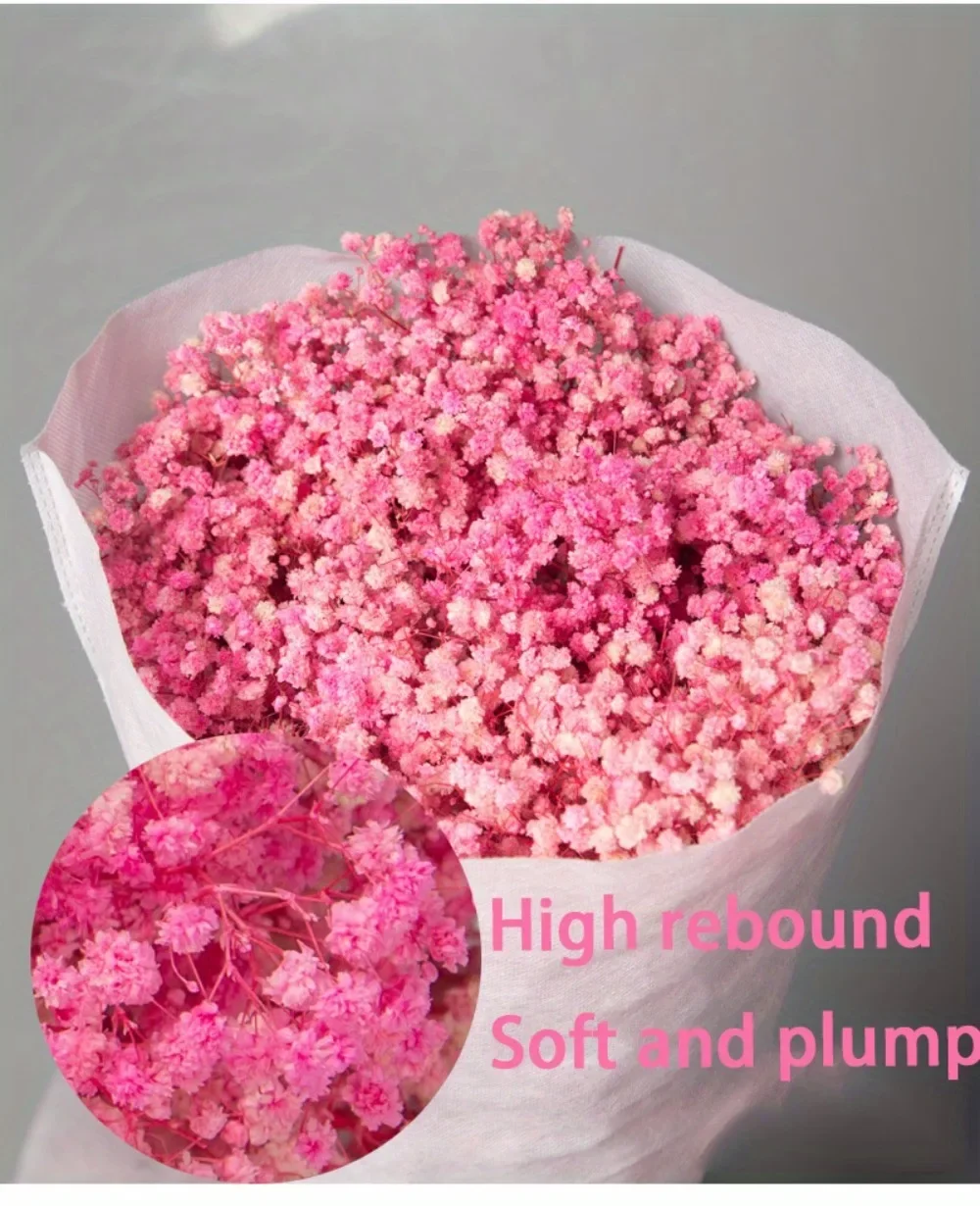 130g Natural Dried Preserved Flowers Babys Breath Home Decoration Natrual Gypsophila Wedding Decor Artificial Flower Photo Props
