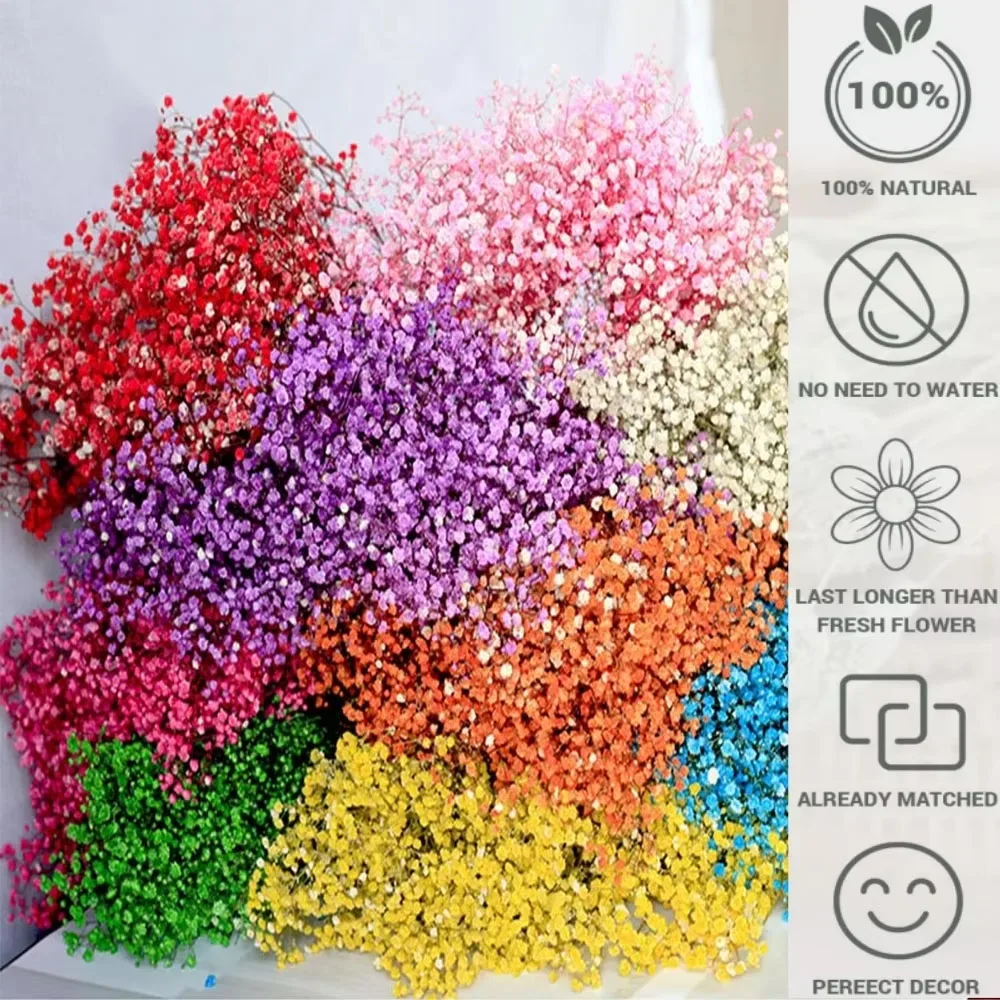 130g Natural Dried Preserved Flowers Babys Breath Home Decoration Natrual Gypsophila Wedding Decor Artificial Flower Photo Props
