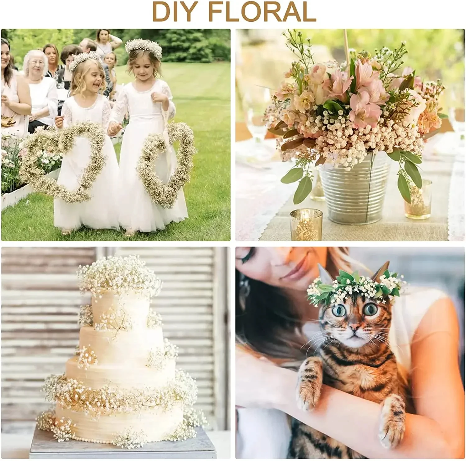 130g Natural Dried Preserved Flowers Babys Breath Home Decoration Natrual Gypsophila Wedding Decor Artificial Flower Photo Props