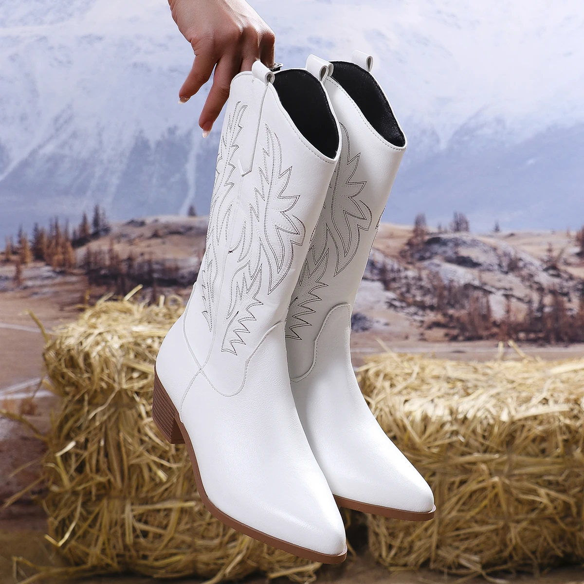 Western Women Boots 2024 Autumn Winter Fashion Chunky Heeled Cowboy Boots Vintage Style Country Western Cowgirl High Heels Boots