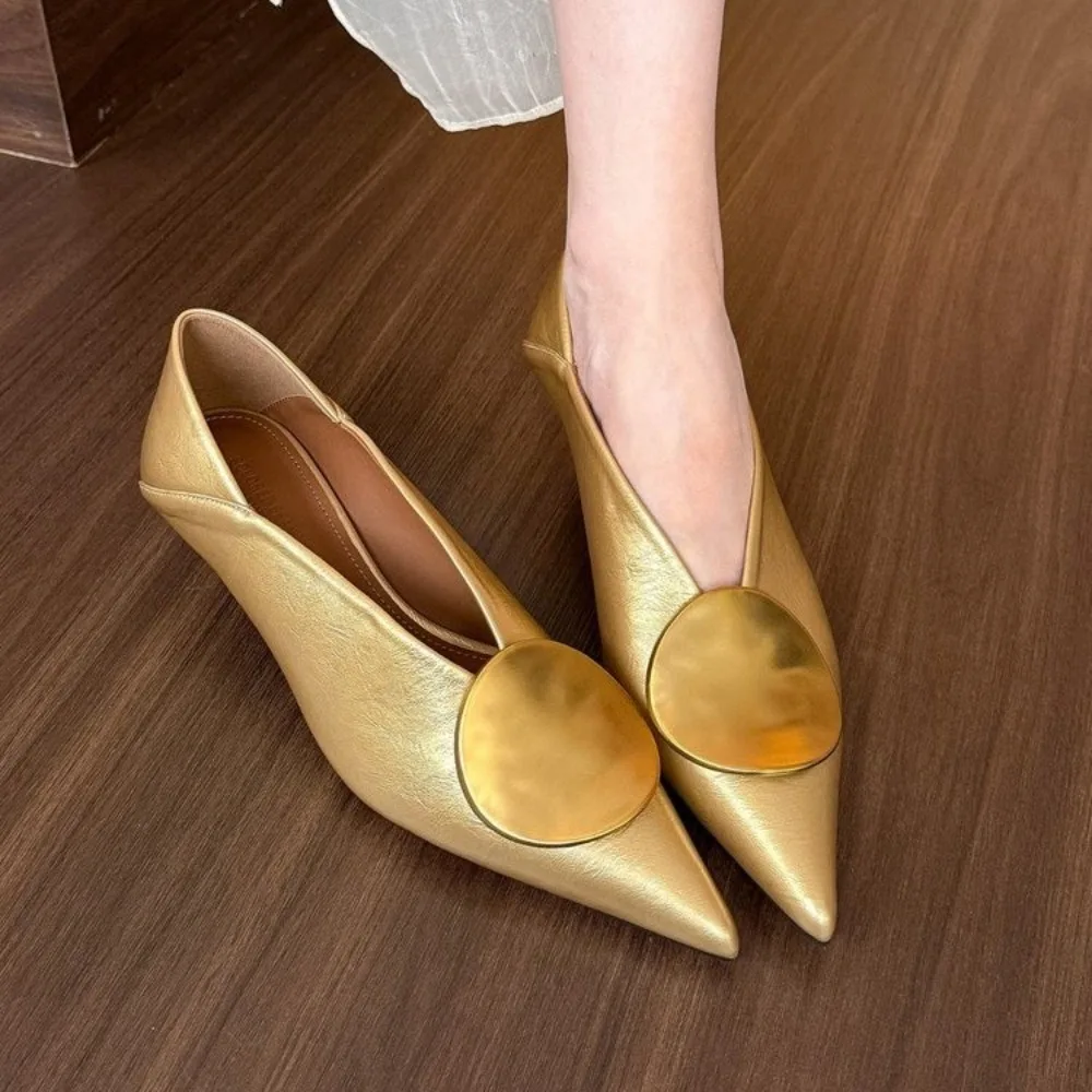 Luxury Women Heeled Shoes Pointed Toe Low Heels Designer Shoes Sexy Dress Fashion Woman Pumps 2025 Summer Elegant Zapatos Mujer