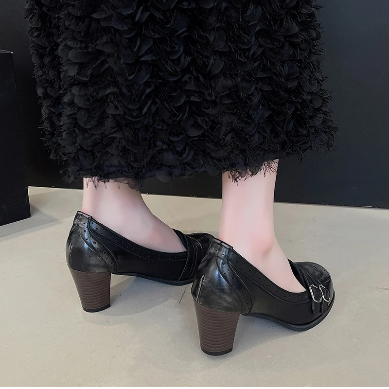 Vintage Thick Heel Women Mary Jane Shoes Ladies Concise Slip On Pumps Spring Autumn Women's Party Dress Shoes