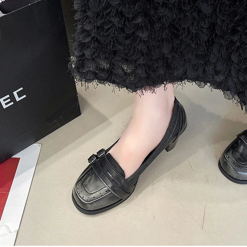Vintage Thick Heel Women Mary Jane Shoes Ladies Concise Slip On Pumps Spring Autumn Women's Party Dress Shoes