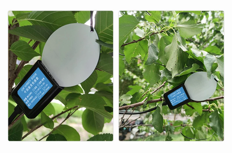 Leaf temperature and humidity sensor transmitter agricultural greenhouse high-precision leaf surface dew moisture detector