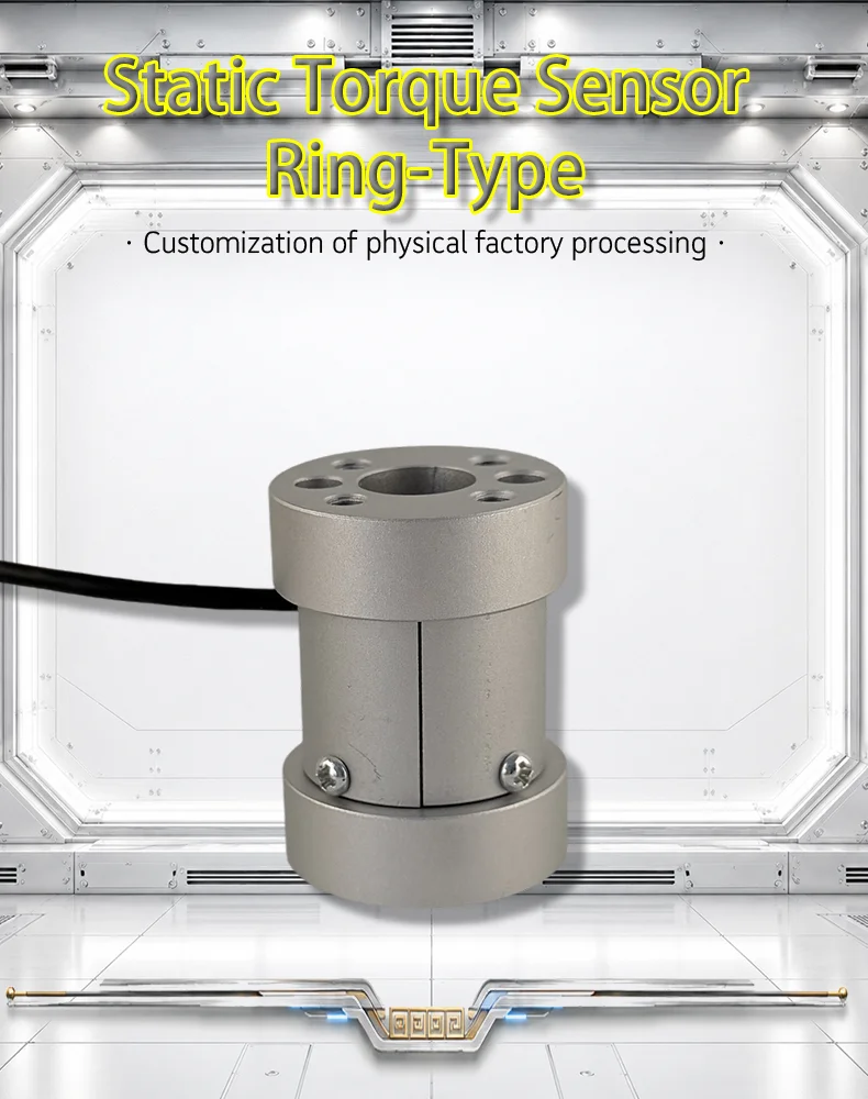 2.0mV/V Static Torque Sensor 0-50/100/150N.m Aluminum/Alloy Steel Torque Gauge for Industrial Torque Monitoring