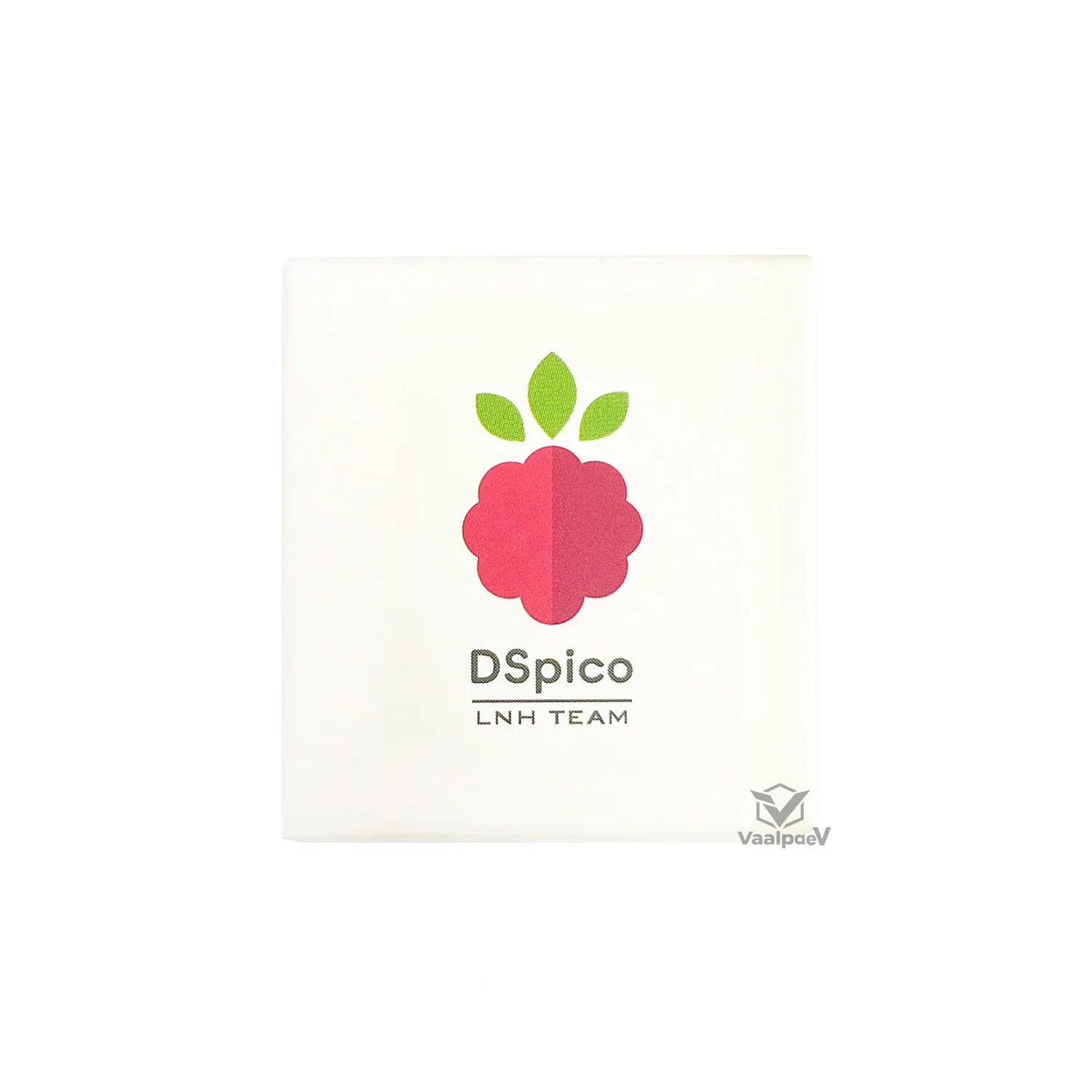 2PCS New DSpico Open Source R4 Alternative with Type-C RP2040 Supports NDS DSi 3DS