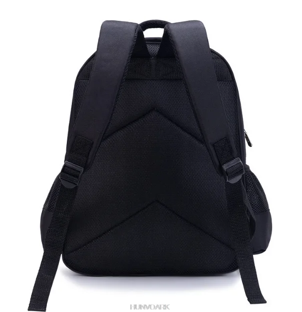 Cartoon How to Train Your Dragon School Bag for Girls Boys Orthopedic Primary Schoolbag Folded Children School Bag for Kids