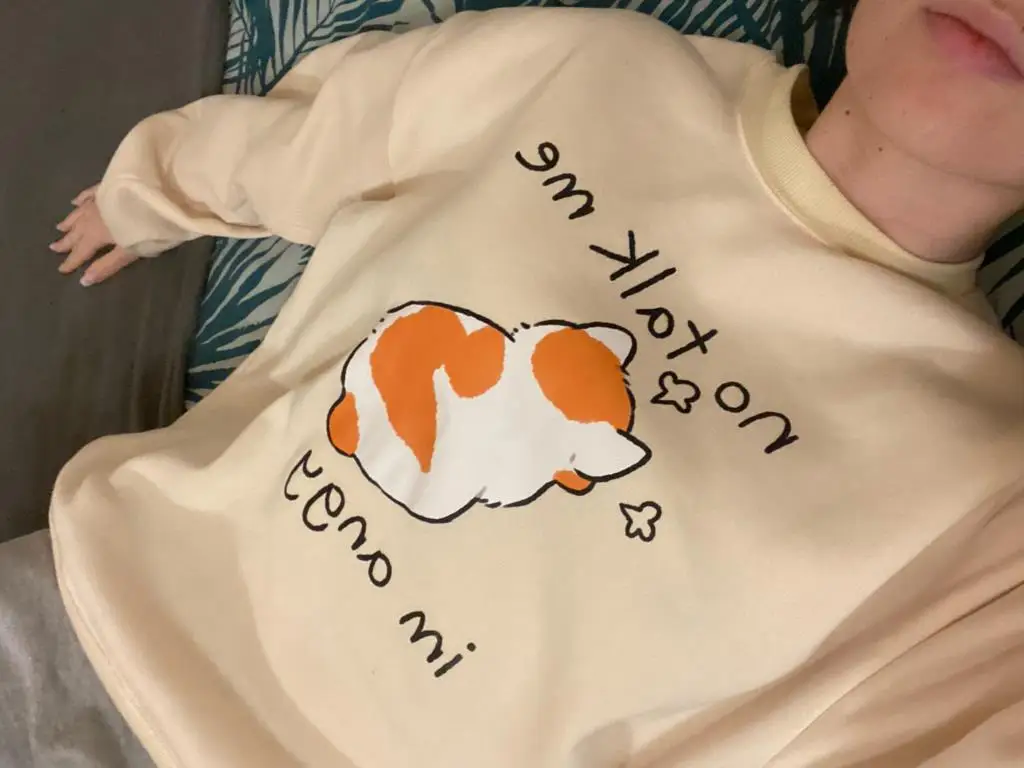 Female Sweatshirts No Talk Me Cute Angy Cat Print Top Women Harajuku Oversize Long-Sleeve Kawaii Animal 2024 New Lady Sweatshirt