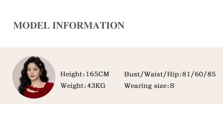 ALXNAN Women's Pullover Elegant Casual Fashion Long Sleeve T-shirt 2026 Spring Simple Basic Style Female Tees L569116 L58908