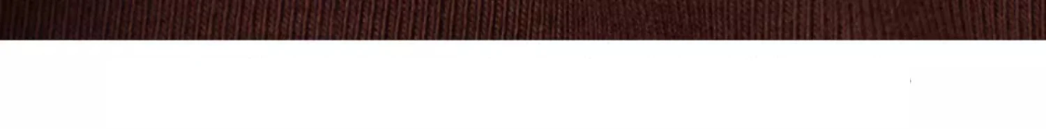 European Station Long sleeved T-shirt Women's Summer New Fashion Light Luxury Pure Cotton Polo Neck Casual Large Size Loose Top