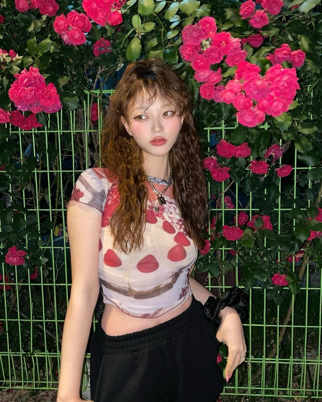 Karrram Y2k Aesthetics Mesh Tops Grunge Graphic Crop Top Korean Fashion Designer Clothes 2000s Harajuku Sheer Top E-girls Tshirt