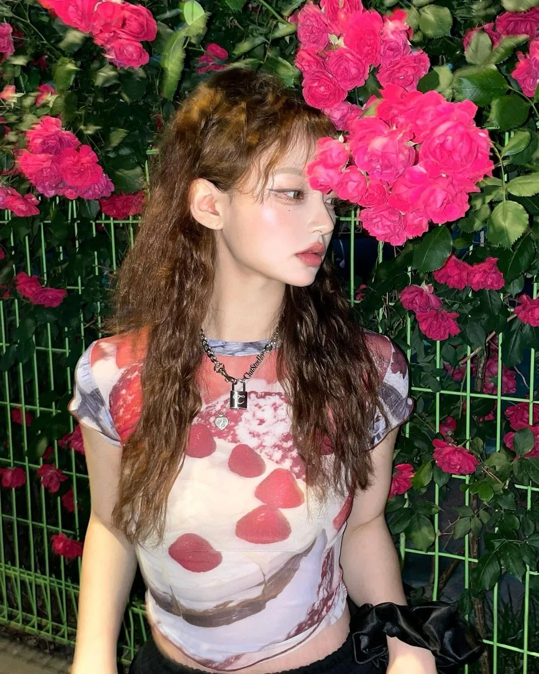 Karrram Y2k Aesthetics Mesh Tops Grunge Graphic Crop Top Korean Fashion Designer Clothes 2000s Harajuku Sheer Top E-girls Tshirt
