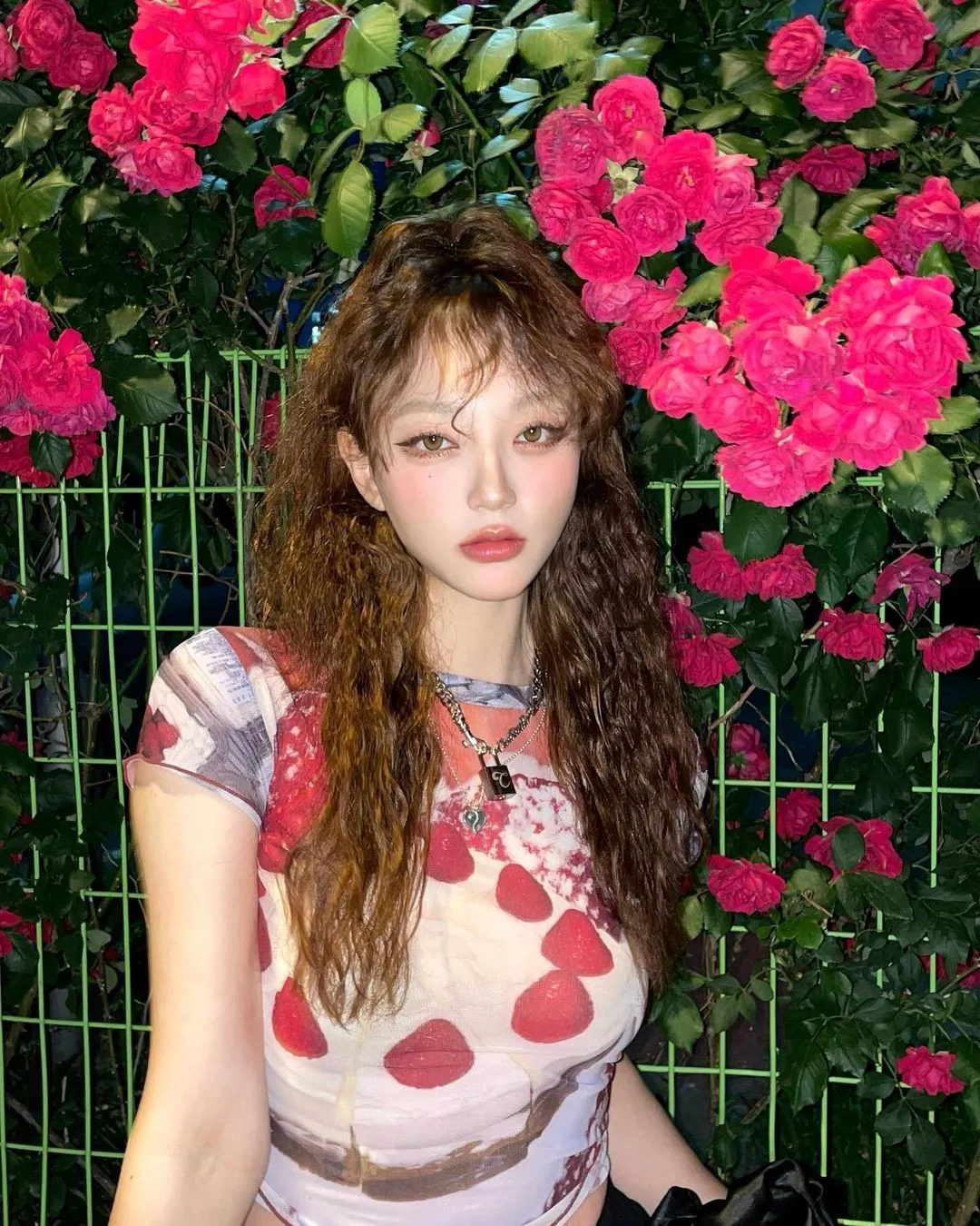Karrram Y2k Aesthetics Mesh Tops Grunge Graphic Crop Top Korean Fashion Designer Clothes 2000s Harajuku Sheer Top E-girls Tshirt
