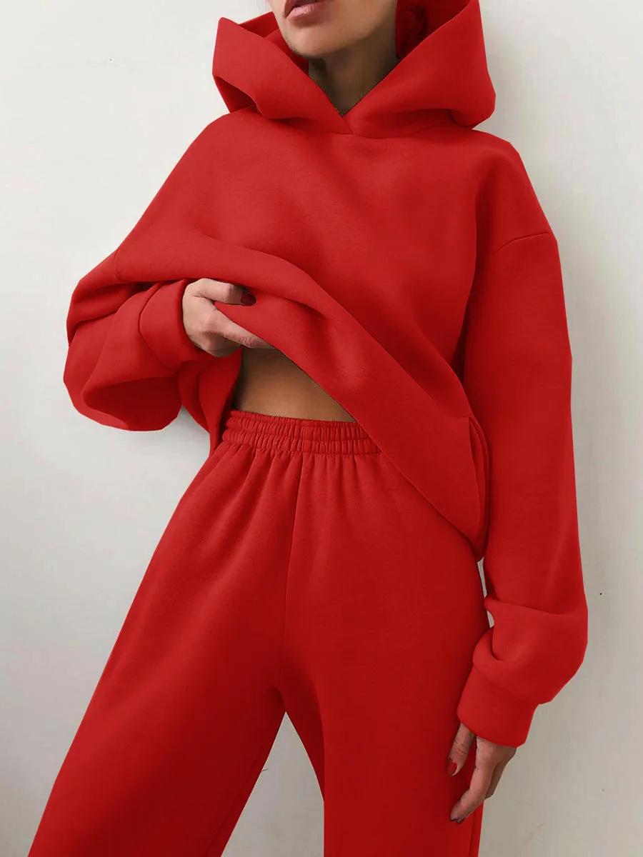 Women Tracksuit Hoodies Casual Solid Long Sleeve Fleece Warm Hooded Sportswear Suit Hoody Pullovers Long Pant Two Pieces Sets