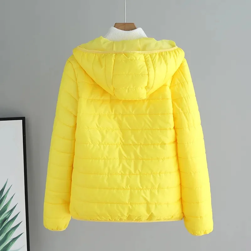 Women Jacket Autumn Winter Parkas 2024 New Female light Thin Down Cotton Coat Ladies Casual Hooded Short Warm Basic Overcoat