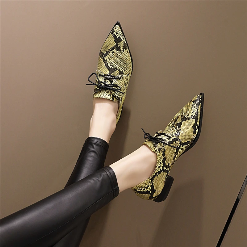 Snake Print Women Loafers Shoes Casual Low Heels Fashion Lace-up Boat Shoes Lady Sexy Pointed Snake EURO Style Oxford Shoes