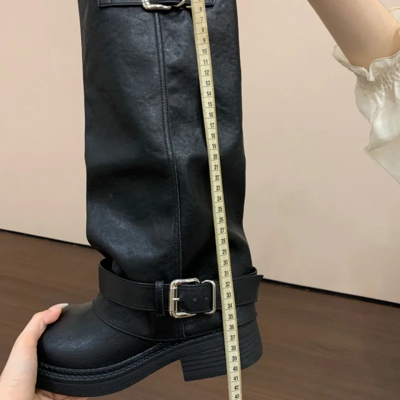 CNEYEIBN Vintage Platform Heel Women Knee High Boots Autumn Winter Female Thick Bottom Shoes Buckle Decor Knight Long Booties