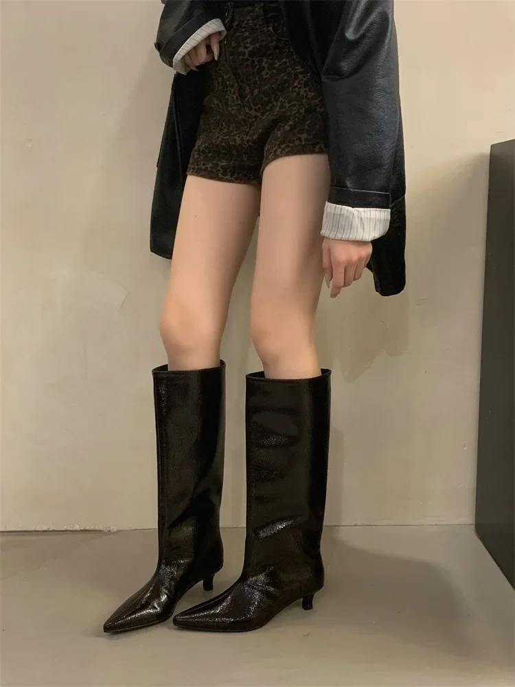 Aneikeh Winter New Pointed Toe Fashion Knee-High Boots Women Elegant Thin Low Heel Casual Ladies Pumps Shoes Long Botas Mujer