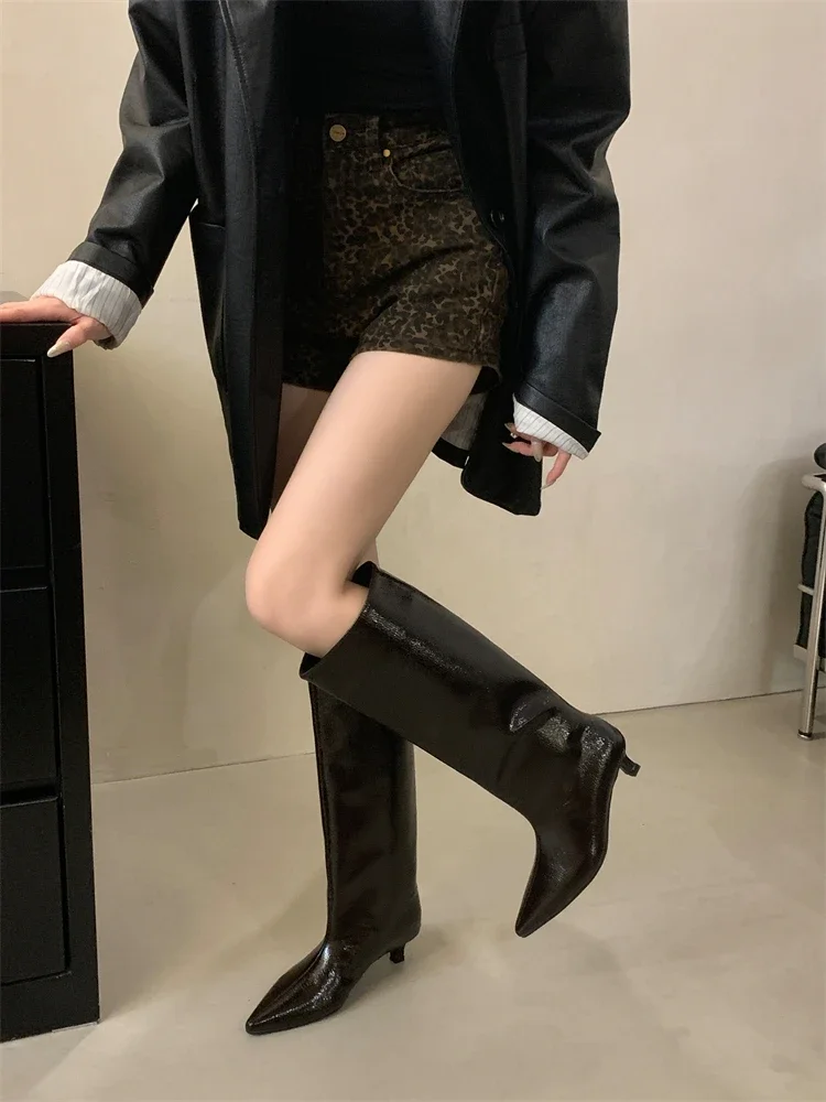Aneikeh Winter New Pointed Toe Fashion Knee-High Boots Women Elegant Thin Low Heel Casual Ladies Pumps Shoes Long Botas Mujer