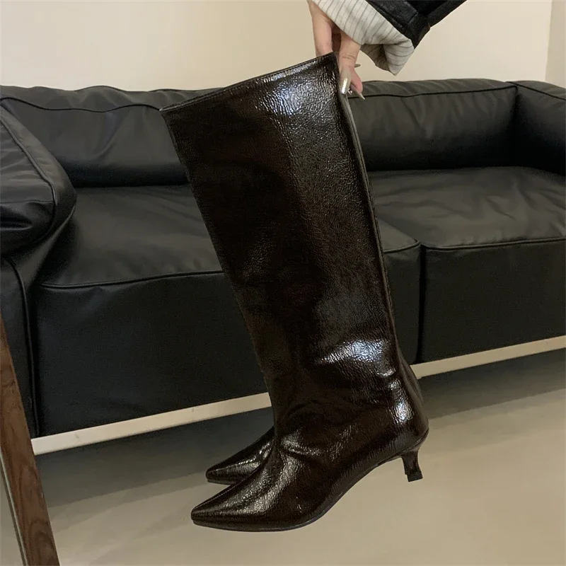 Aneikeh Winter New Pointed Toe Fashion Knee-High Boots Women Elegant Thin Low Heel Casual Ladies Pumps Shoes Long Botas Mujer