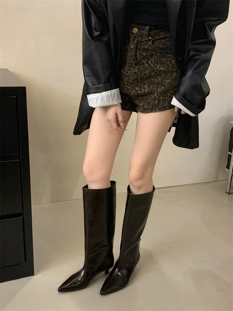 Aneikeh Winter New Pointed Toe Fashion Knee-High Boots Women Elegant Thin Low Heel Casual Ladies Pumps Shoes Long Botas Mujer