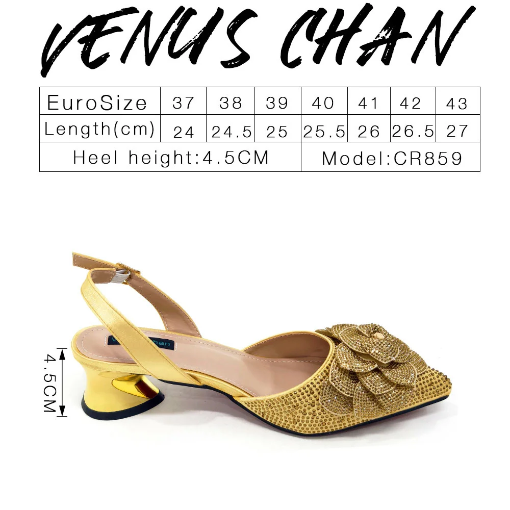 Venus Chan Shoes for Women Pointed-Toe Large Flower Decoration Rhinestone Low Heel Italian Design Black Color Shoes and Bags Set