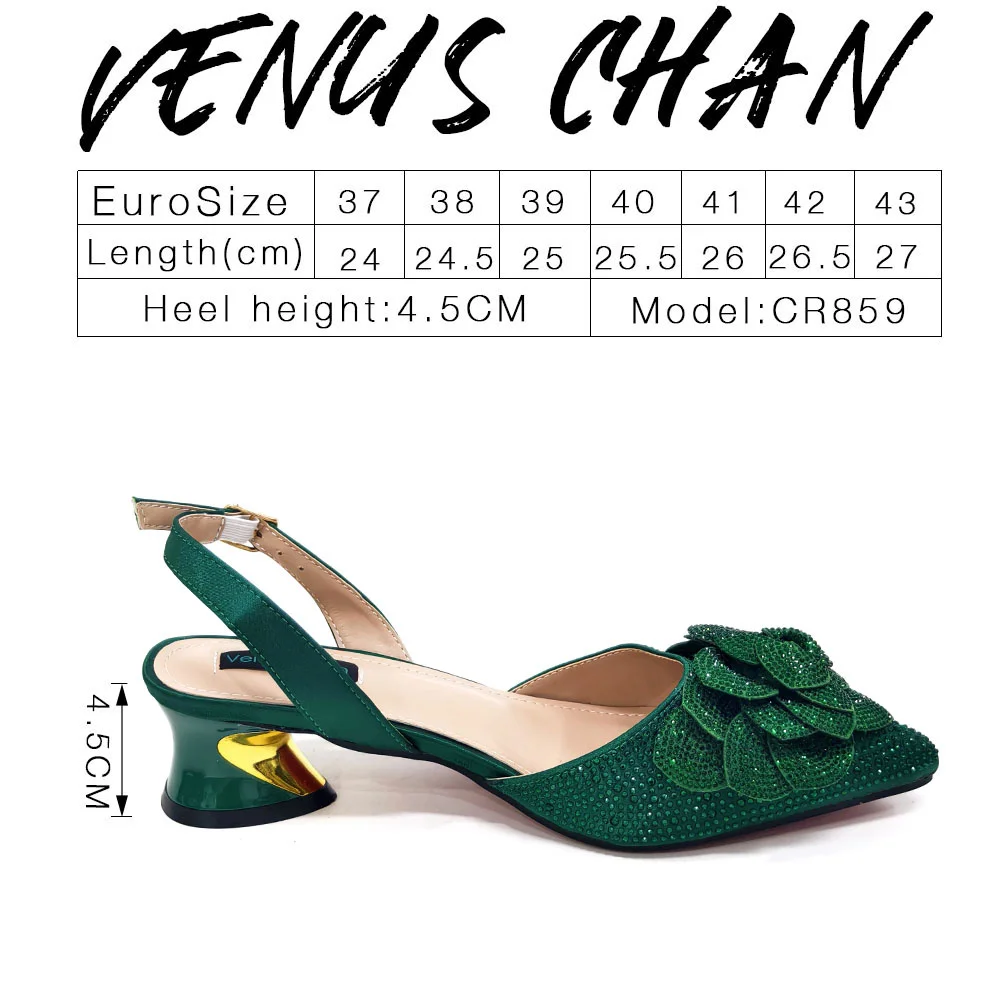 Venus Chan Shoes for Women Pointed-Toe Large Flower Decoration Rhinestone Low Heel Italian Design Black Color Shoes and Bags Set