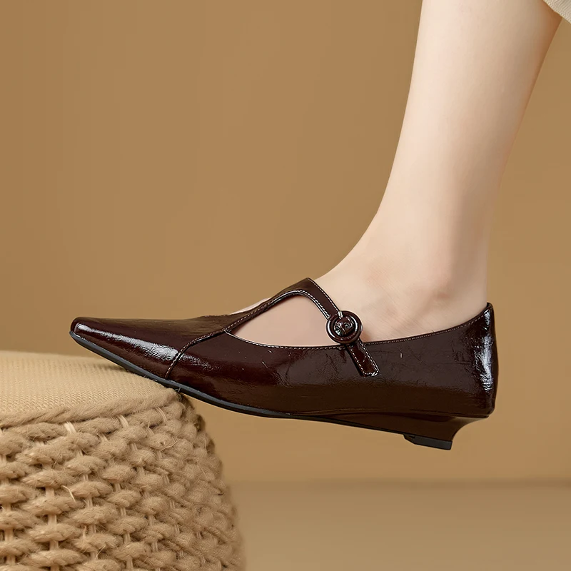 AIYUQI 2026 New Women's Mary Jane Shoes Pointed Toe T Strap Formal Women Shoe Shallow Fashion High Heeled Work Shoes Female