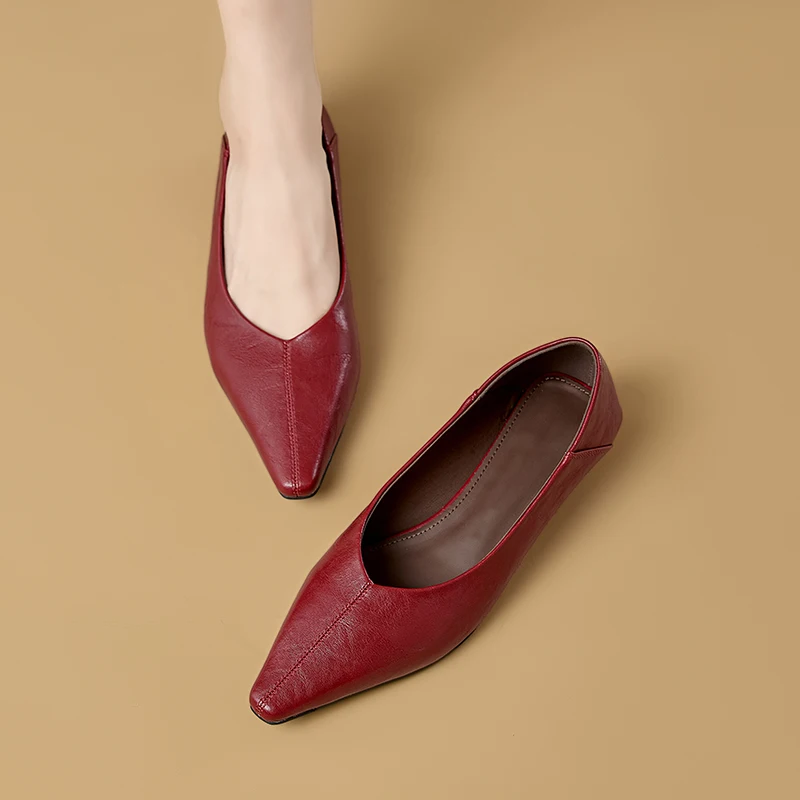 Women's Pointed Toe Mary Jane Shoes Nonslip Slipon Dress Shoes Women Fashion Commuter female Shoe for Spring and Autumn