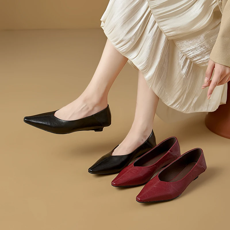 Women's Pointed Toe Mary Jane Shoes Nonslip Slipon Dress Shoes Women Fashion Commuter female Shoe for Spring and Autumn