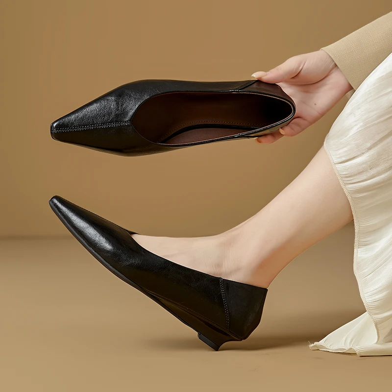 Women's Pointed Toe Mary Jane Shoes Nonslip Slipon Dress Shoes Women Fashion Commuter female Shoe for Spring and Autumn