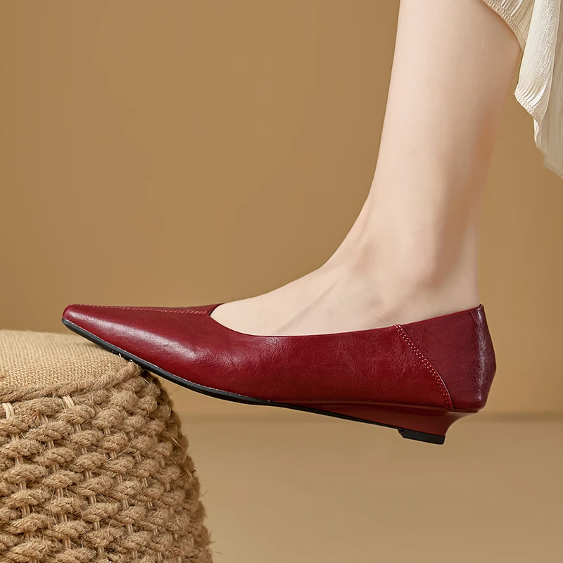 Women's Pointed Toe Mary Jane Shoes Nonslip Slipon Dress Shoes Women Fashion Commuter female Shoe for Spring and Autumn