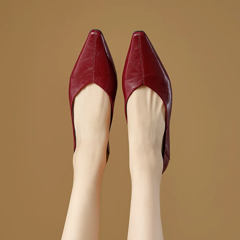 Women's Pointed Toe Mary Jane Shoes Nonslip Slipon Dress Shoes Women Fashion Commuter female Shoe for Spring and Autumn
