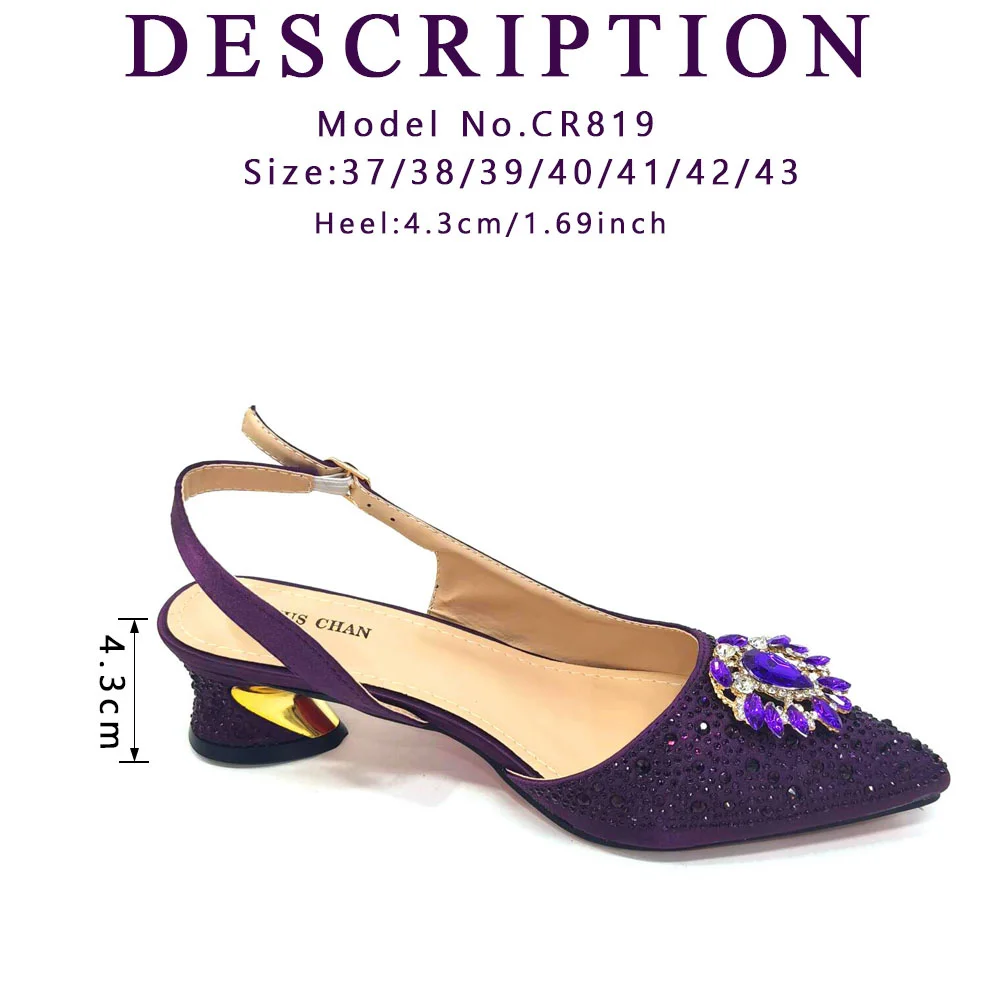 Venus Chan Royal Blue Sandals for Women 2024 Luxury Wedding Pumps Med Heels Rhinestone Design Party Shoes and Bags Set
