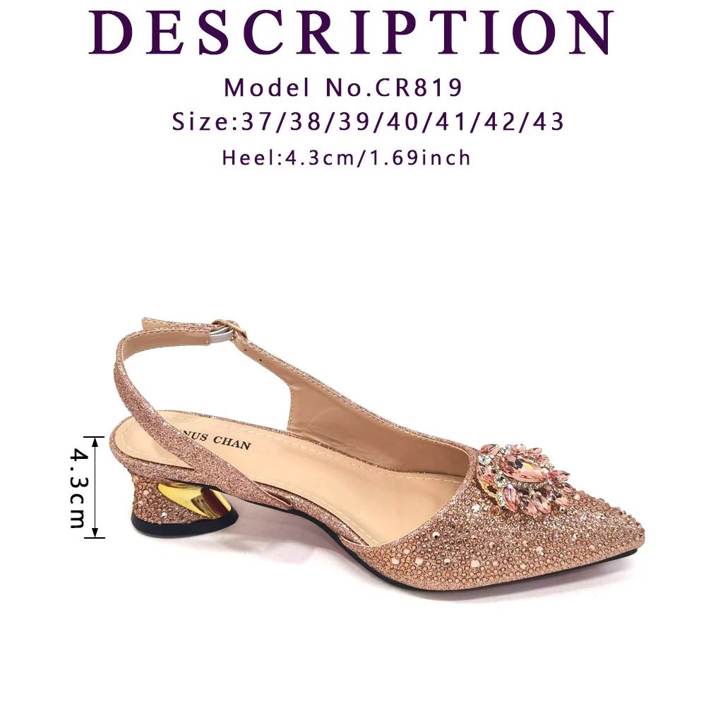 Venus Chan Royal Blue Sandals for Women 2024 Luxury Wedding Pumps Med Heels Rhinestone Design Party Shoes and Bags Set