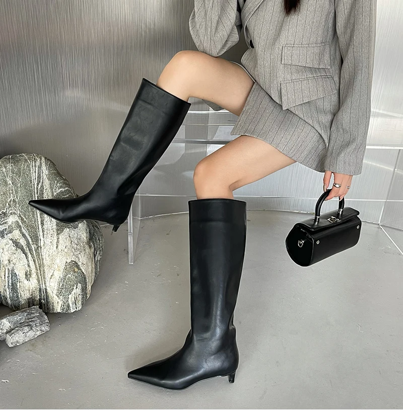 Aneikeh 2027 Fashion Sexy Pointed Low Heels Knee Long Boots Women's Spring/Autumn PU Sewing Party Ball Western Boots 35-42