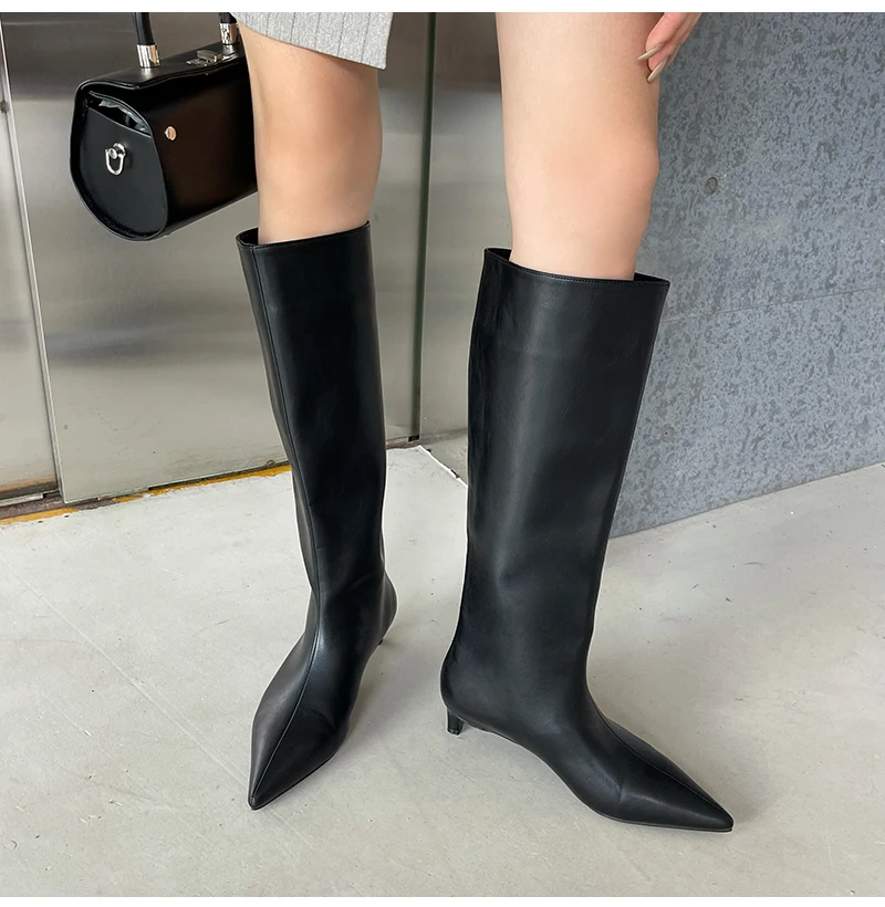 Aneikeh 2027 Fashion Sexy Pointed Low Heels Knee Long Boots Women's Spring/Autumn PU Sewing Party Ball Western Boots 35-42