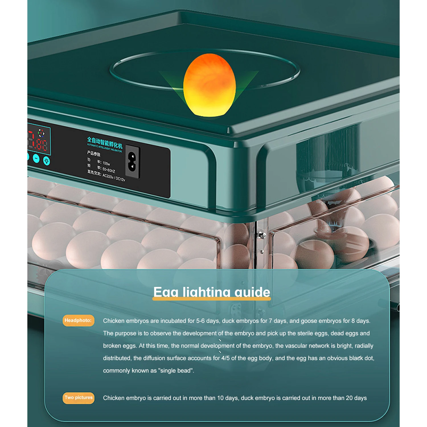 9/15 Drawer Type eg Incubator With Automatic leg turn And Humidity monitor Incubator For Chicken Eggs Duck leg Quail Egg