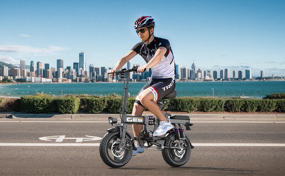 TOOFLY GE5 Foldable Electric Bicycle 250W 48V15AH Lithium Battery Adult Riding Electric Bike 14-inch Tire Urban Commuter E-bike