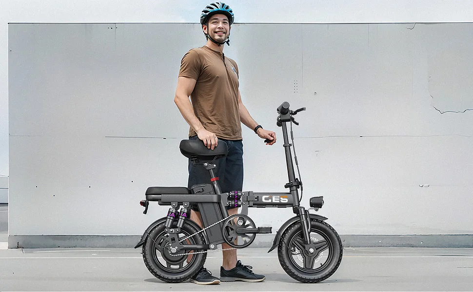 TOOFLY GE5 Foldable Electric Bicycle 250W 48V15AH Lithium Battery Adult Riding Electric Bike 14-inch Tire Urban Commuter E-bike