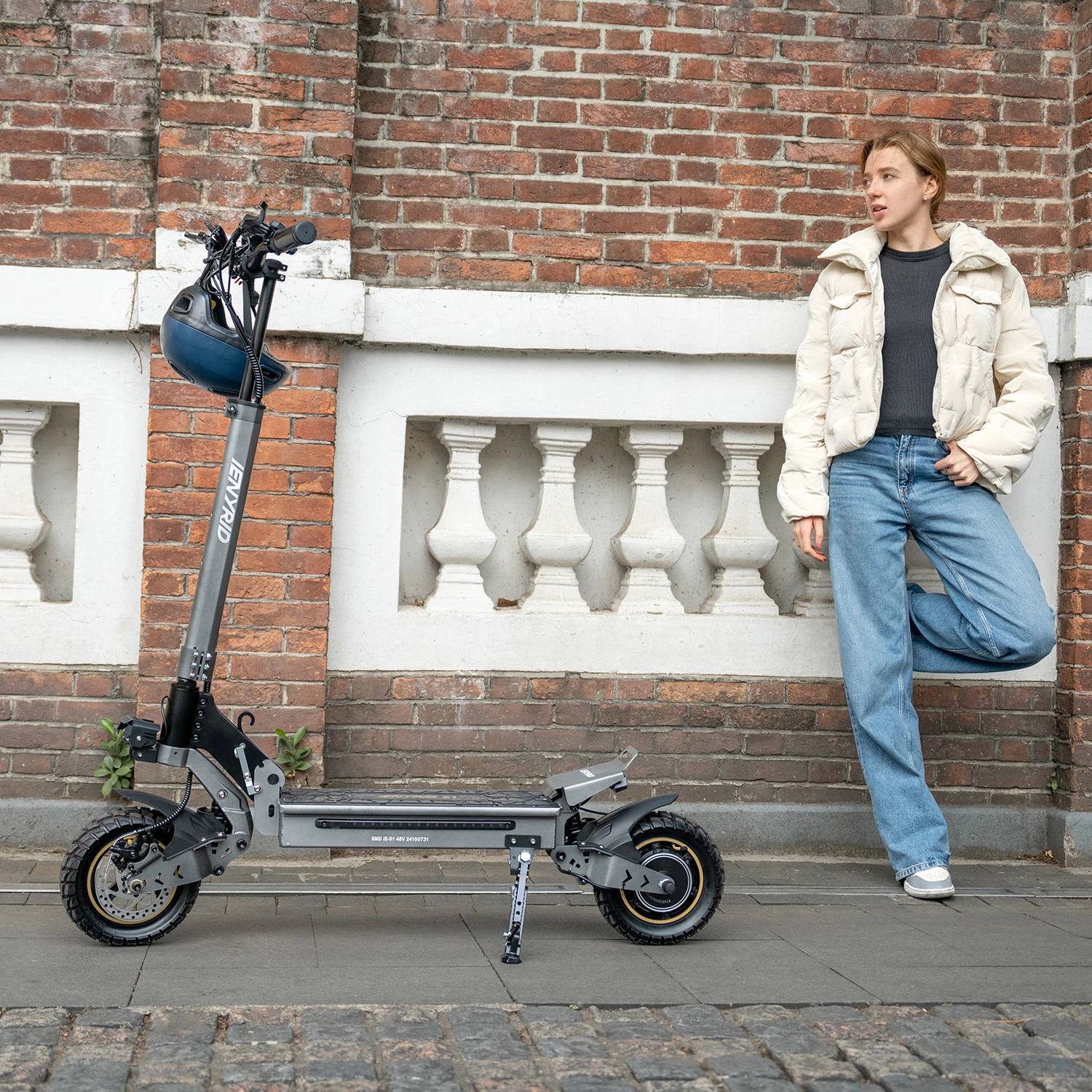 Ienyrid Ie-S1 Electric Scooter for Adult 48V15Ah Battery Auto Cruise Control System 10" Tire