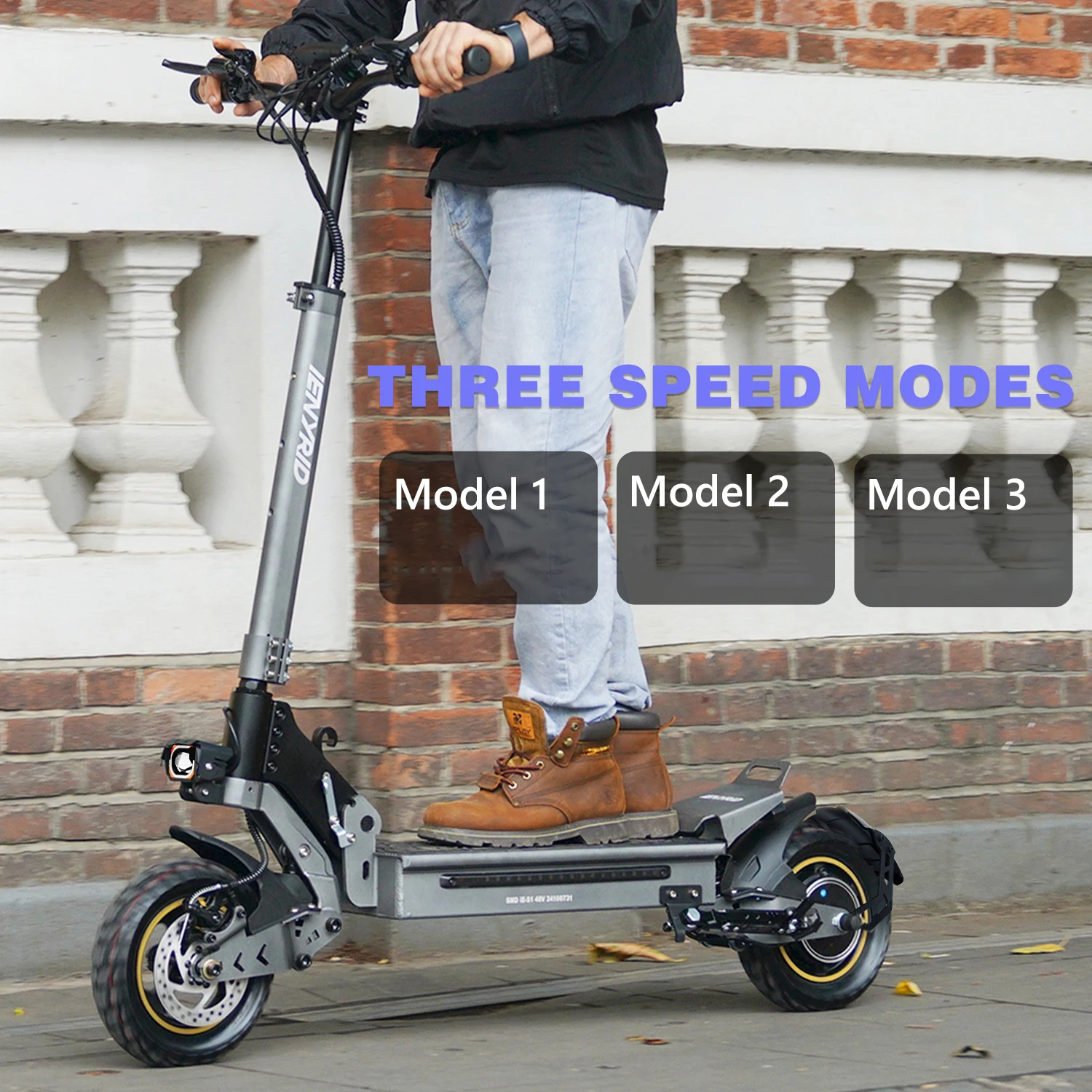 Ienyrid Ie-S1 Electric Scooter for Adult 48V15Ah Battery Auto Cruise Control System 10" Tire