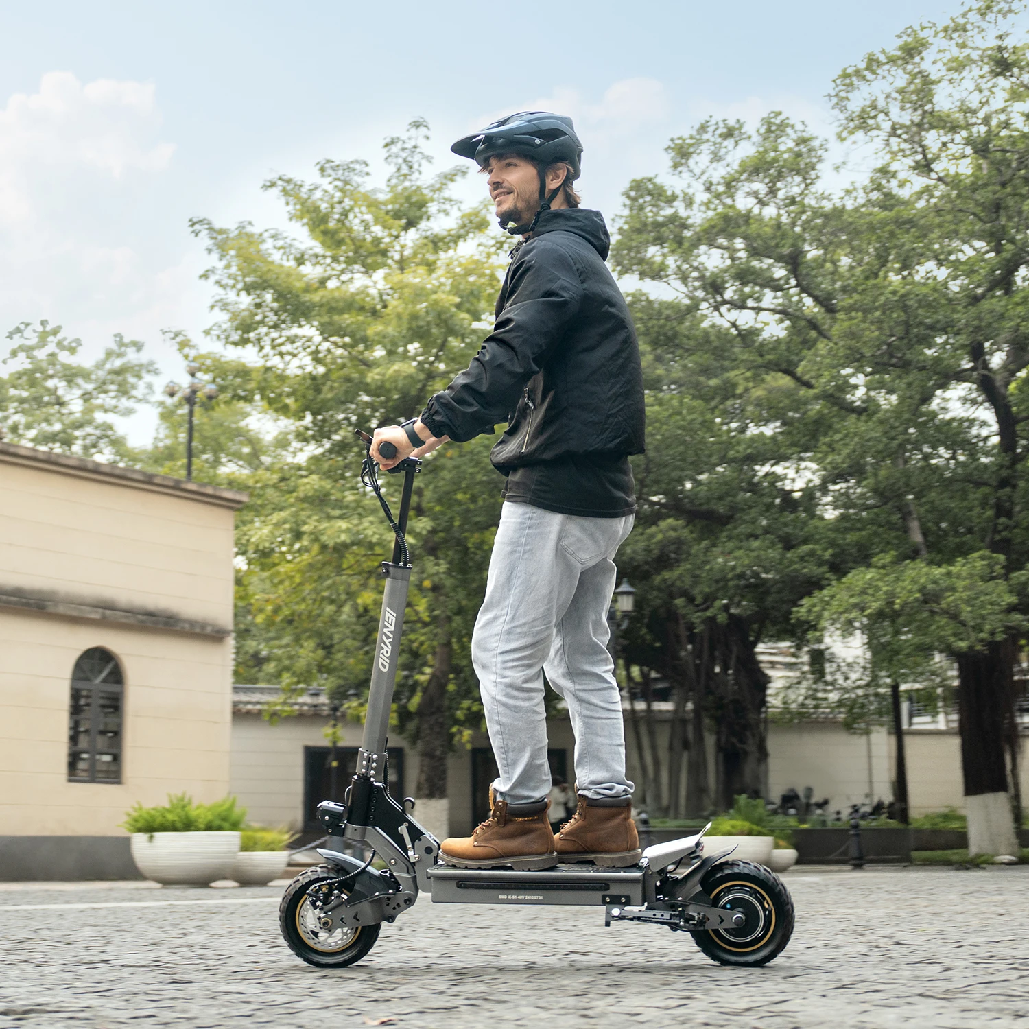 Ienyrid Ie-S1 Electric Scooter for Adult 48V15Ah Battery Auto Cruise Control System 10" Tire