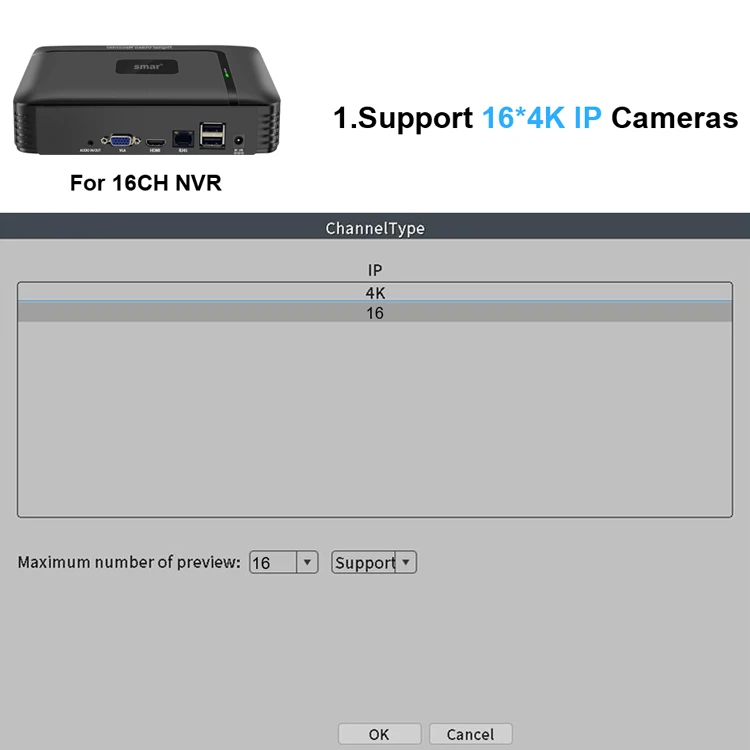 Smar H.265 CCTV NVR Face Detection 10CH 16CH 32CH 36CH Max 4K Output Security Video Recorder Motion Detect P2P Onvif XMEye APP