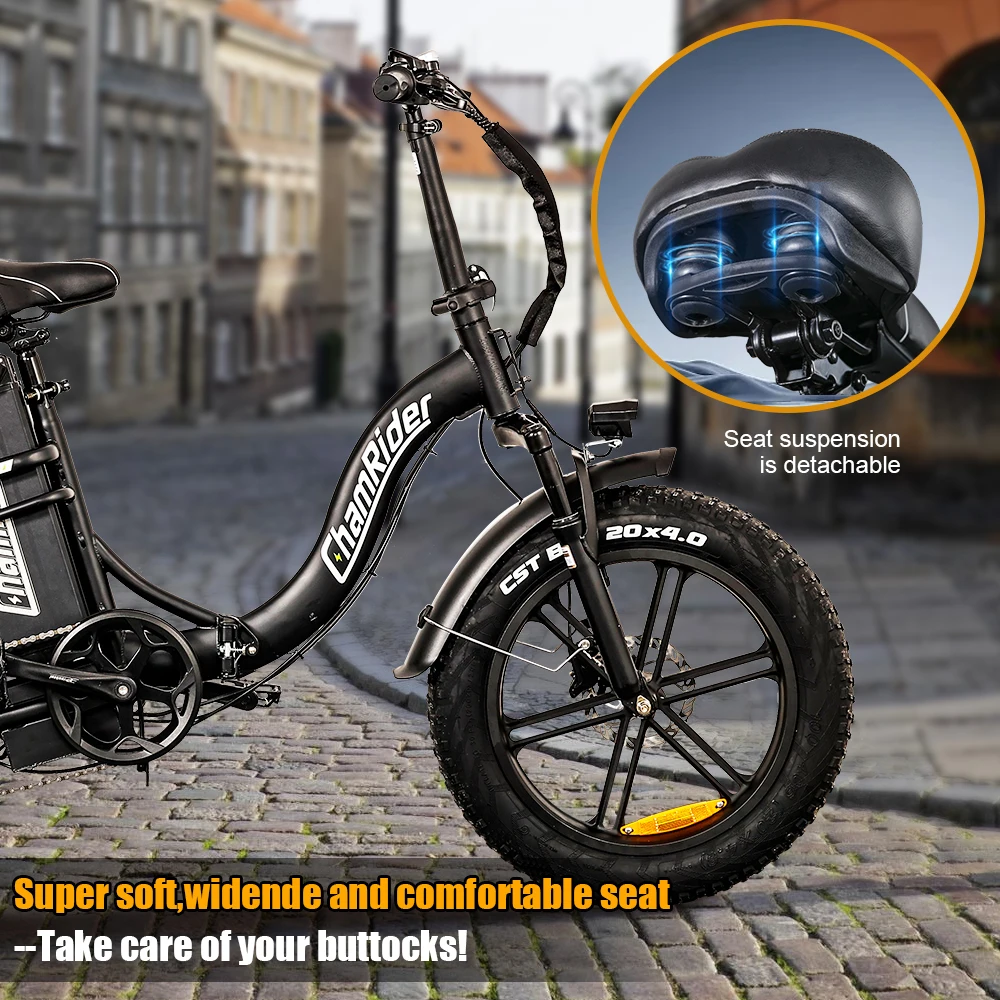 ChamRider DT450 Ebike - 48V50AH Monster Battery, 250KM Epic Range & 750W Power - Ultimate Pick for European Delivery Experts